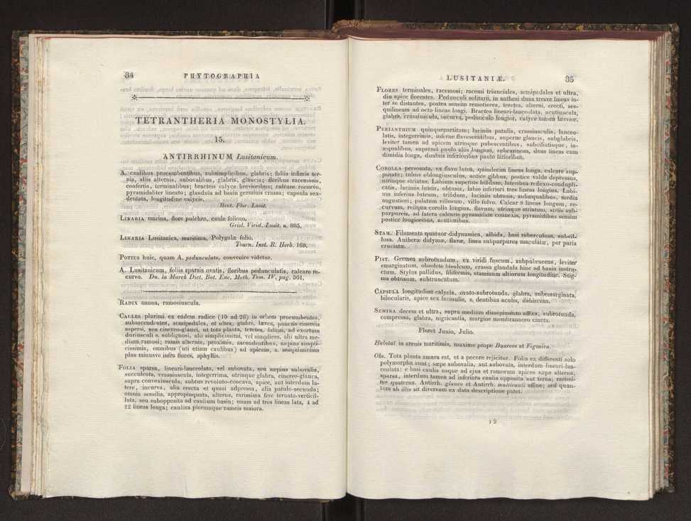 Phytographia lusitaniae selectior, seu novarum rariorum, et aliarum minus cognitarum stirpium, quae in Lusitania sponte' veniunt, ejusdemque floram spectant, descriptiones iconibus illustratae. Vol. 1 24