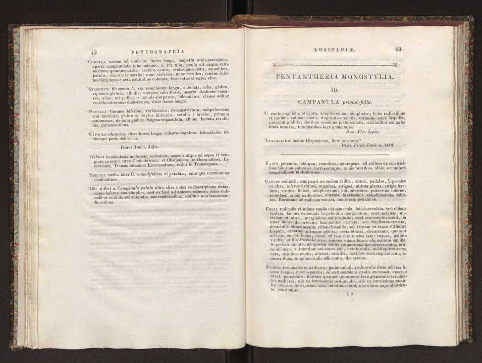 Phytographia lusitaniae selectior, seu novarum rariorum, et aliarum minus cognitarum stirpium, quae in Lusitania sponte' veniunt, ejusdemque floram spectant, descriptiones iconibus illustratae. Vol. 1 28