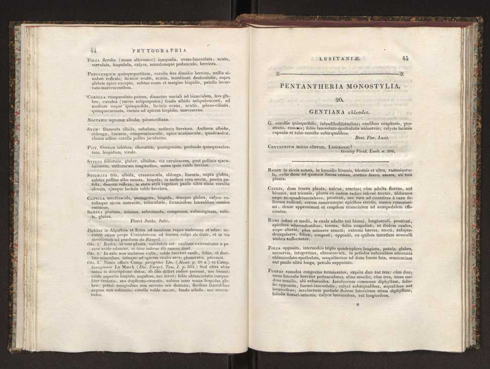 Phytographia lusitaniae selectior, seu novarum rariorum, et aliarum minus cognitarum stirpium, quae in Lusitania sponte' veniunt, ejusdemque floram spectant, descriptiones iconibus illustratae. Vol. 1 29