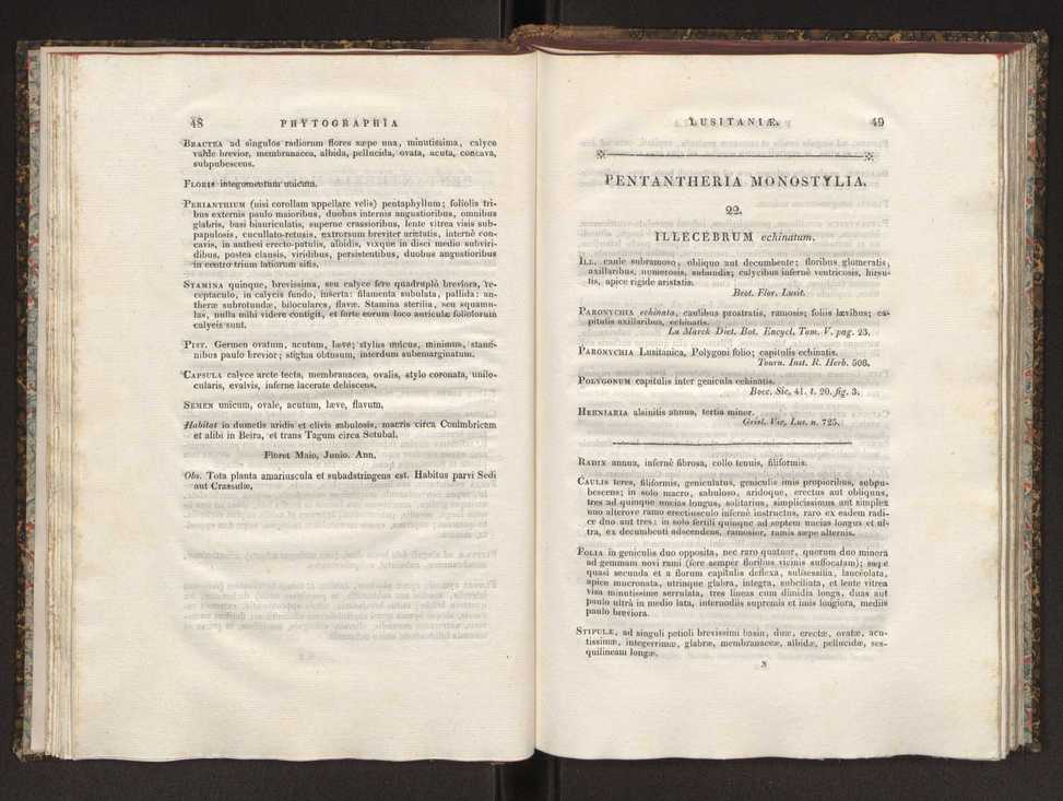 Phytographia lusitaniae selectior, seu novarum rariorum, et aliarum minus cognitarum stirpium, quae in Lusitania sponte' veniunt, ejusdemque floram spectant, descriptiones iconibus illustratae. Vol. 1 31