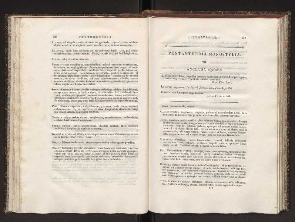 Phytographia lusitaniae selectior, seu novarum rariorum, et aliarum minus cognitarum stirpium, quae in Lusitania sponte' veniunt, ejusdemque floram spectant, descriptiones iconibus illustratae. Vol. 1 32