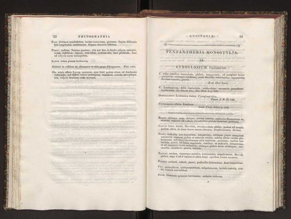 Phytographia lusitaniae selectior, seu novarum rariorum, et aliarum minus cognitarum stirpium, quae in Lusitania sponte' veniunt, ejusdemque floram spectant, descriptiones iconibus illustratae. Vol. 1 33