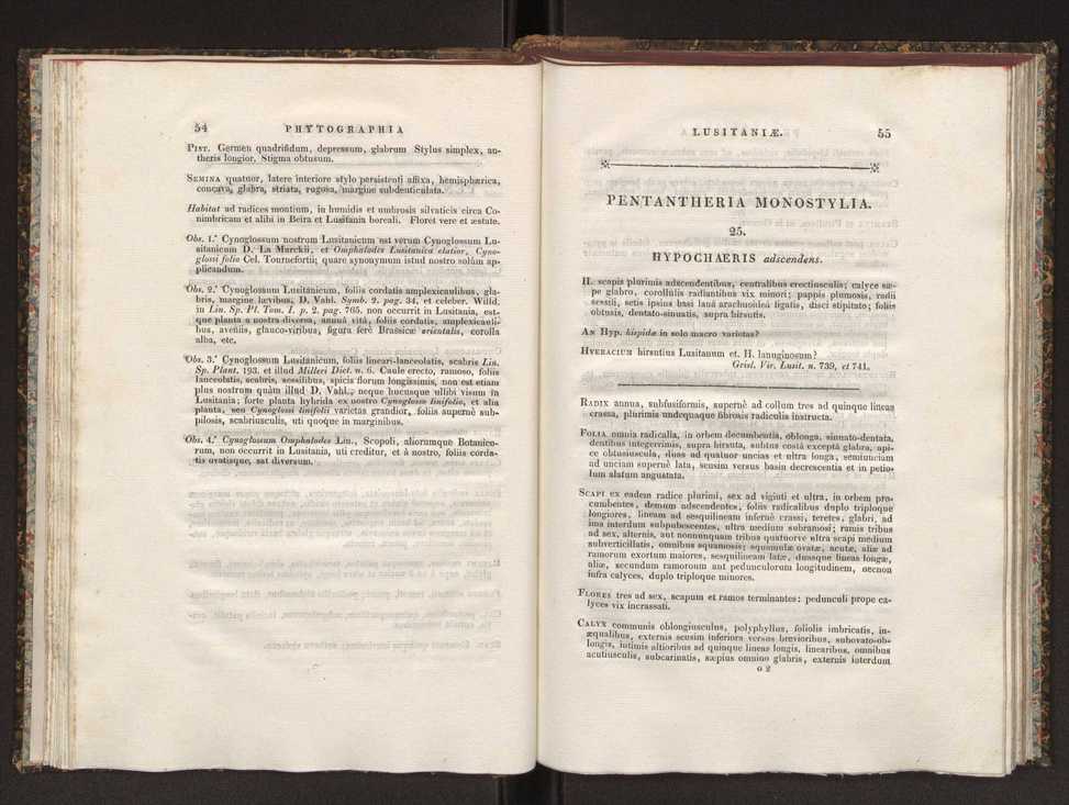 Phytographia lusitaniae selectior, seu novarum rariorum, et aliarum minus cognitarum stirpium, quae in Lusitania sponte' veniunt, ejusdemque floram spectant, descriptiones iconibus illustratae. Vol. 1 34