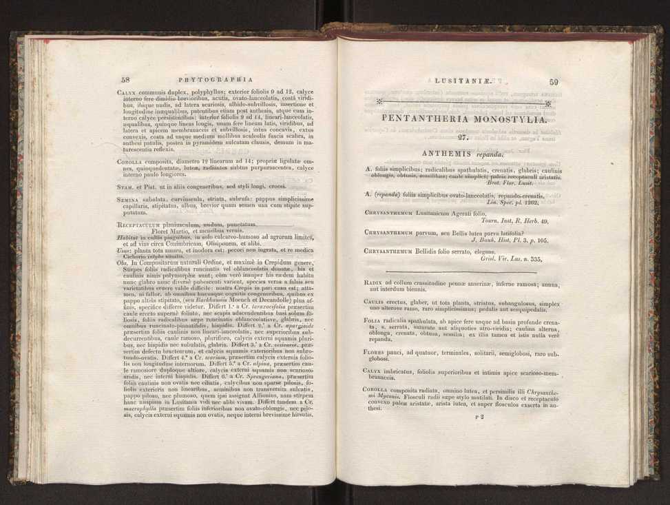 Phytographia lusitaniae selectior, seu novarum rariorum, et aliarum minus cognitarum stirpium, quae in Lusitania sponte' veniunt, ejusdemque floram spectant, descriptiones iconibus illustratae. Vol. 1 36