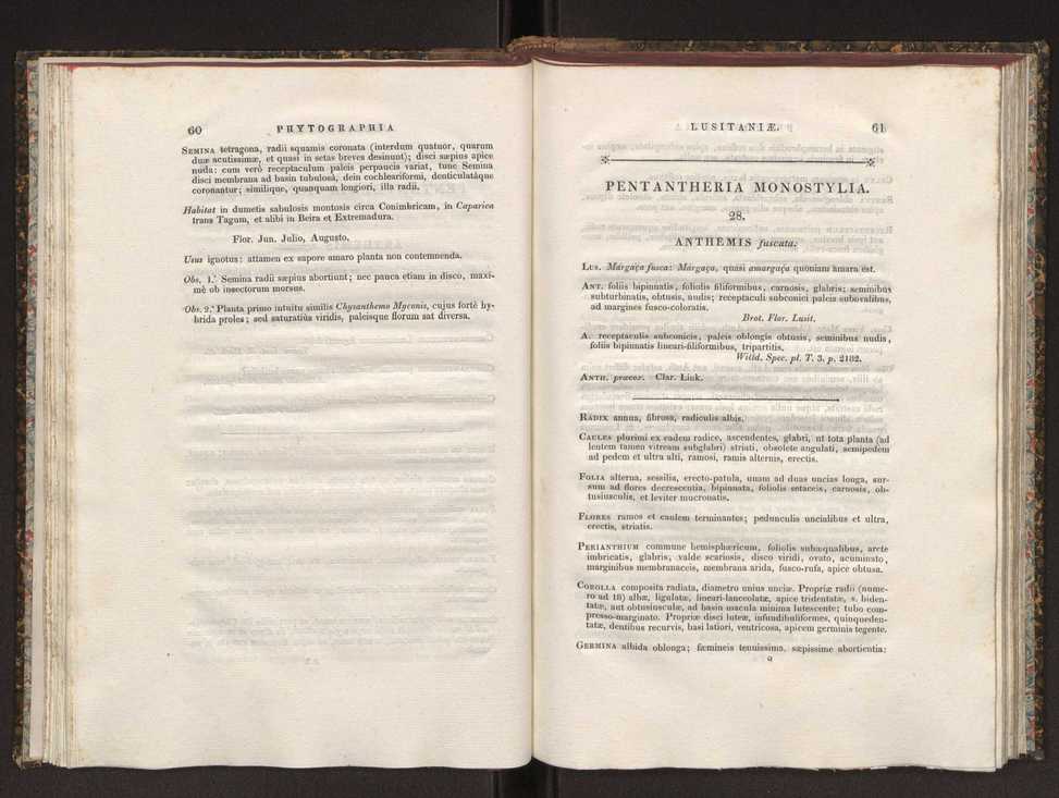 Phytographia lusitaniae selectior, seu novarum rariorum, et aliarum minus cognitarum stirpium, quae in Lusitania sponte' veniunt, ejusdemque floram spectant, descriptiones iconibus illustratae. Vol. 1 37