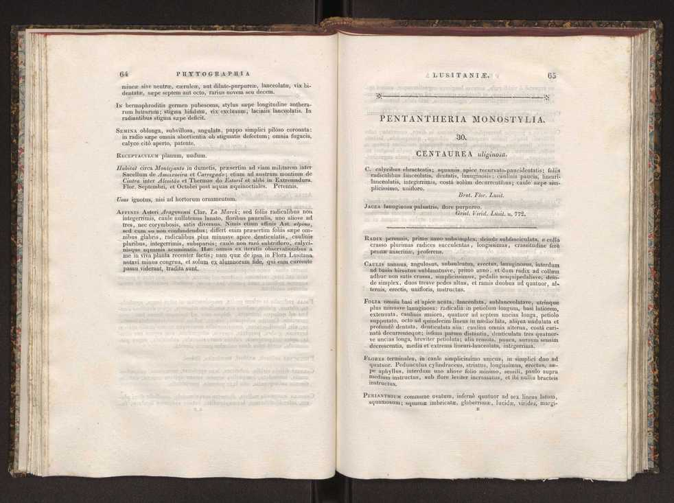 Phytographia lusitaniae selectior, seu novarum rariorum, et aliarum minus cognitarum stirpium, quae in Lusitania sponte' veniunt, ejusdemque floram spectant, descriptiones iconibus illustratae. Vol. 1 39