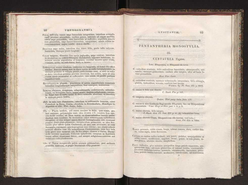 Phytographia lusitaniae selectior, seu novarum rariorum, et aliarum minus cognitarum stirpium, quae in Lusitania sponte' veniunt, ejusdemque floram spectant, descriptiones iconibus illustratae. Vol. 1 41