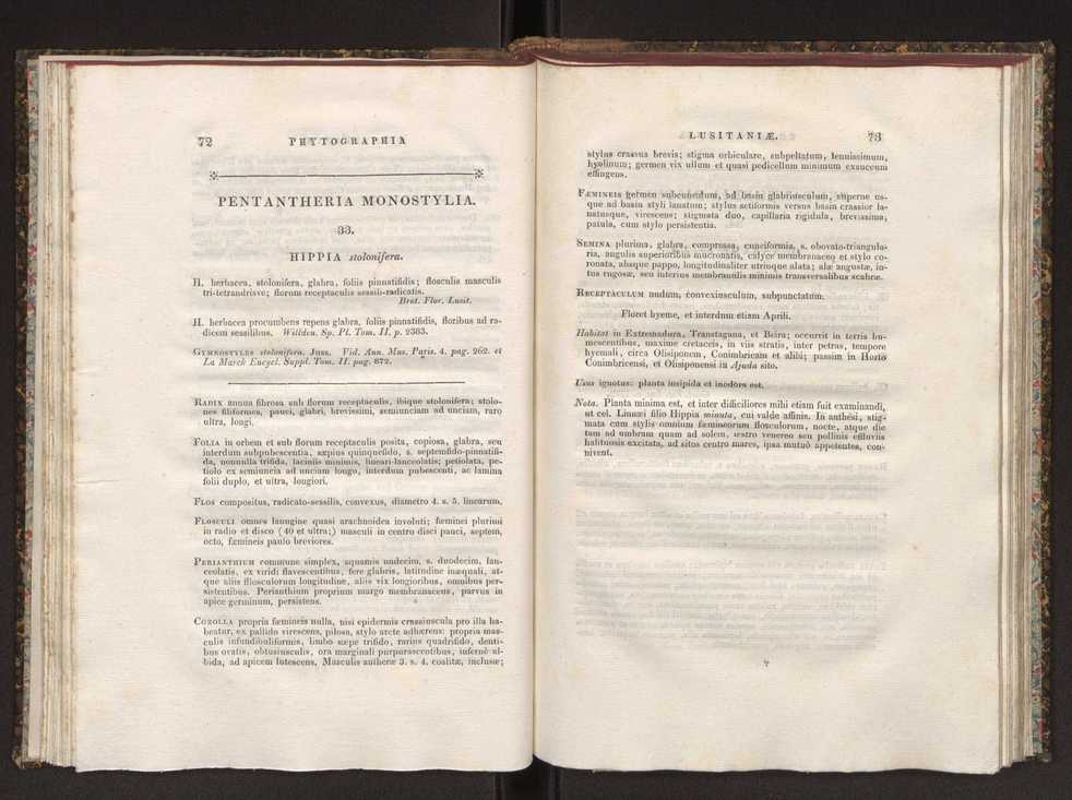 Phytographia lusitaniae selectior, seu novarum rariorum, et aliarum minus cognitarum stirpium, quae in Lusitania sponte' veniunt, ejusdemque floram spectant, descriptiones iconibus illustratae. Vol. 1 43