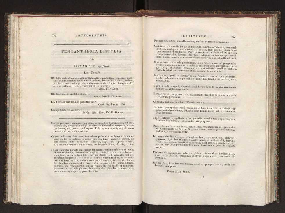 Phytographia lusitaniae selectior, seu novarum rariorum, et aliarum minus cognitarum stirpium, quae in Lusitania sponte' veniunt, ejusdemque floram spectant, descriptiones iconibus illustratae. Vol. 1 44