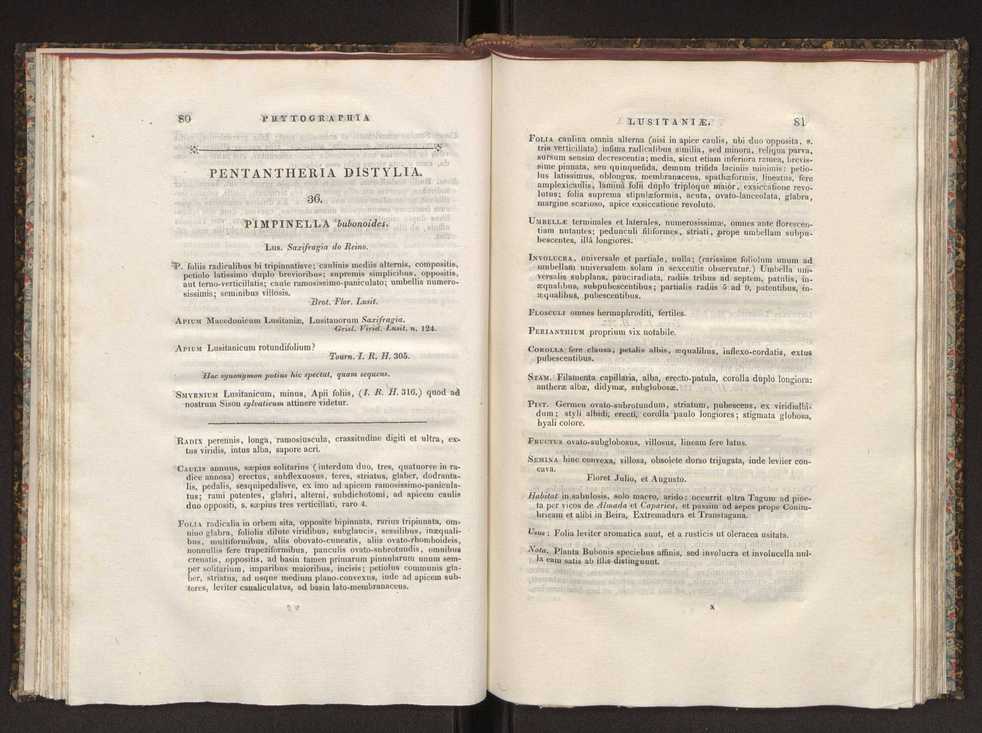 Phytographia lusitaniae selectior, seu novarum rariorum, et aliarum minus cognitarum stirpium, quae in Lusitania sponte' veniunt, ejusdemque floram spectant, descriptiones iconibus illustratae. Vol. 1 47