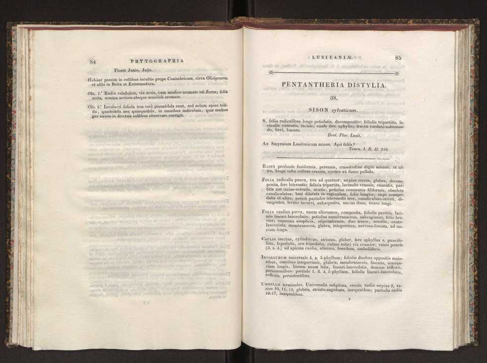 Phytographia lusitaniae selectior, seu novarum rariorum, et aliarum minus cognitarum stirpium, quae in Lusitania sponte' veniunt, ejusdemque floram spectant, descriptiones iconibus illustratae. Vol. 1 49