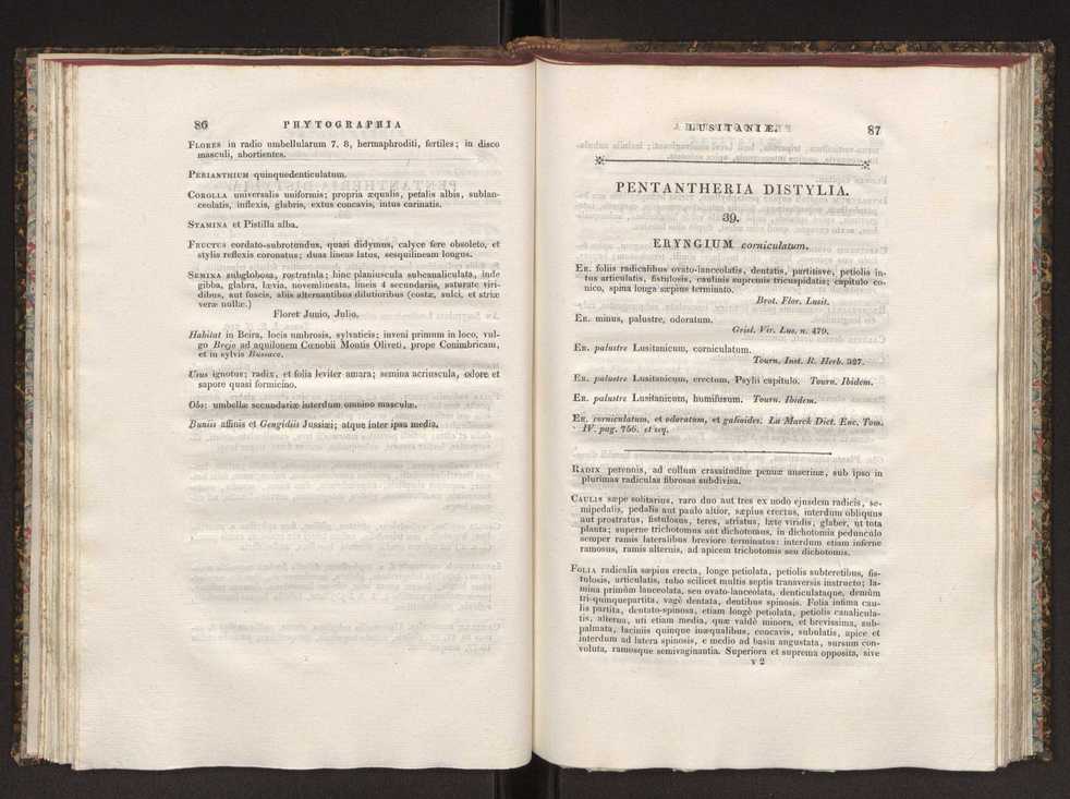 Phytographia lusitaniae selectior, seu novarum rariorum, et aliarum minus cognitarum stirpium, quae in Lusitania sponte' veniunt, ejusdemque floram spectant, descriptiones iconibus illustratae. Vol. 1 50