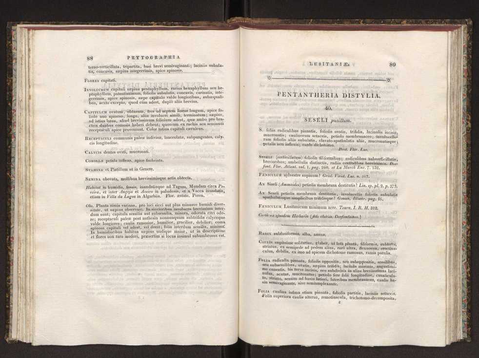 Phytographia lusitaniae selectior, seu novarum rariorum, et aliarum minus cognitarum stirpium, quae in Lusitania sponte' veniunt, ejusdemque floram spectant, descriptiones iconibus illustratae. Vol. 1 51