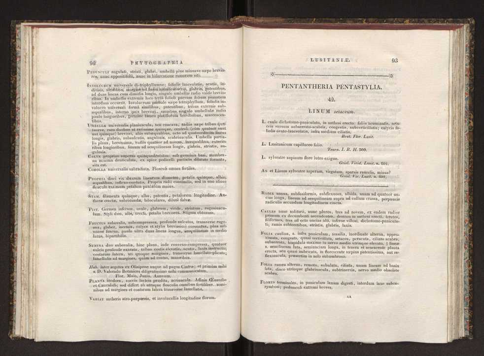 Phytographia lusitaniae selectior, seu novarum rariorum, et aliarum minus cognitarum stirpium, quae in Lusitania sponte' veniunt, ejusdemque floram spectant, descriptiones iconibus illustratae. Vol. 1 53