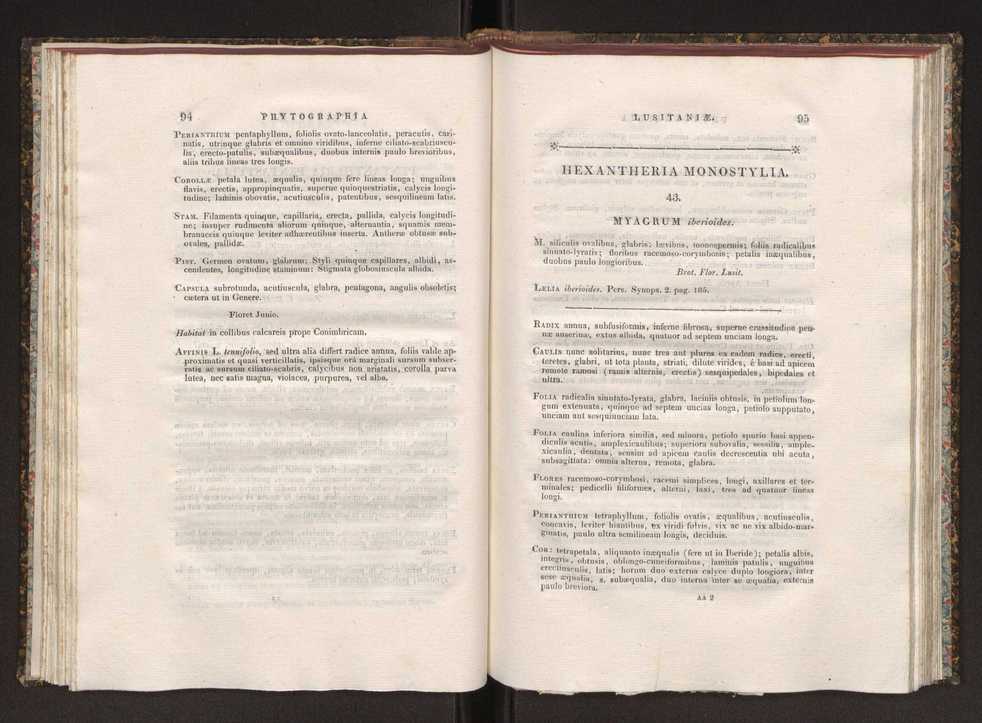 Phytographia lusitaniae selectior, seu novarum rariorum, et aliarum minus cognitarum stirpium, quae in Lusitania sponte' veniunt, ejusdemque floram spectant, descriptiones iconibus illustratae. Vol. 1 54