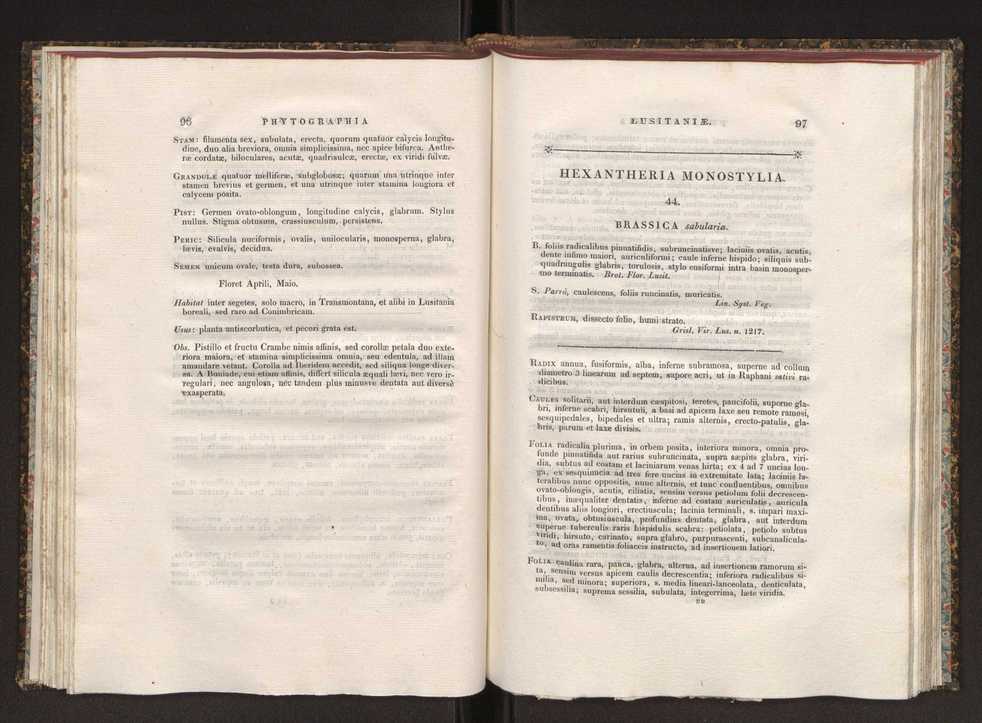 Phytographia lusitaniae selectior, seu novarum rariorum, et aliarum minus cognitarum stirpium, quae in Lusitania sponte' veniunt, ejusdemque floram spectant, descriptiones iconibus illustratae. Vol. 1 55