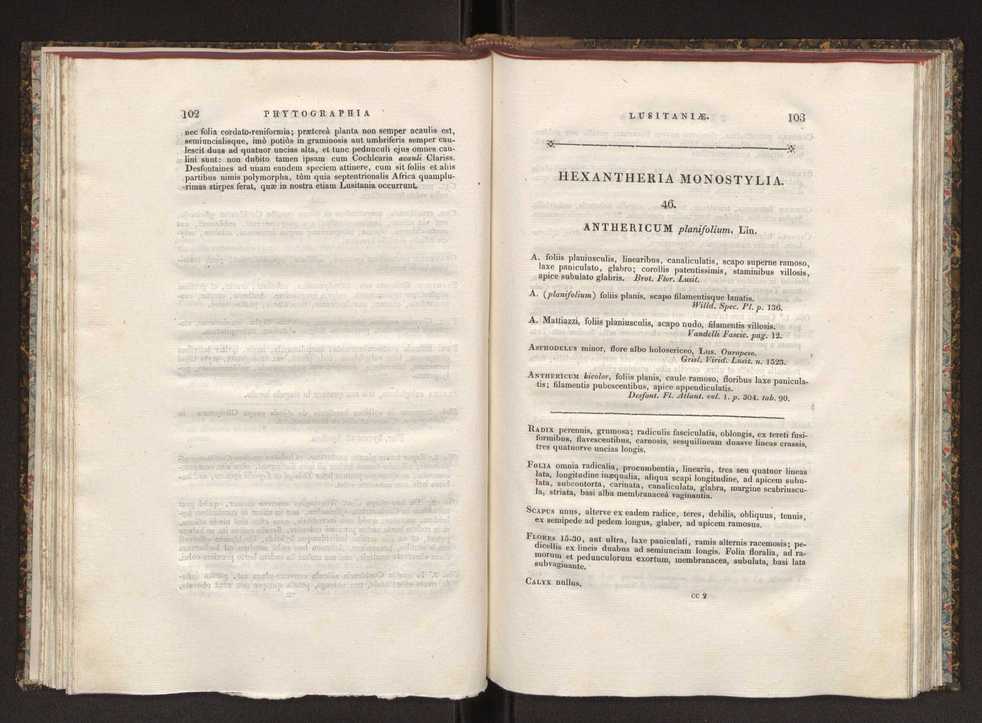 Phytographia lusitaniae selectior, seu novarum rariorum, et aliarum minus cognitarum stirpium, quae in Lusitania sponte' veniunt, ejusdemque floram spectant, descriptiones iconibus illustratae. Vol. 1 58