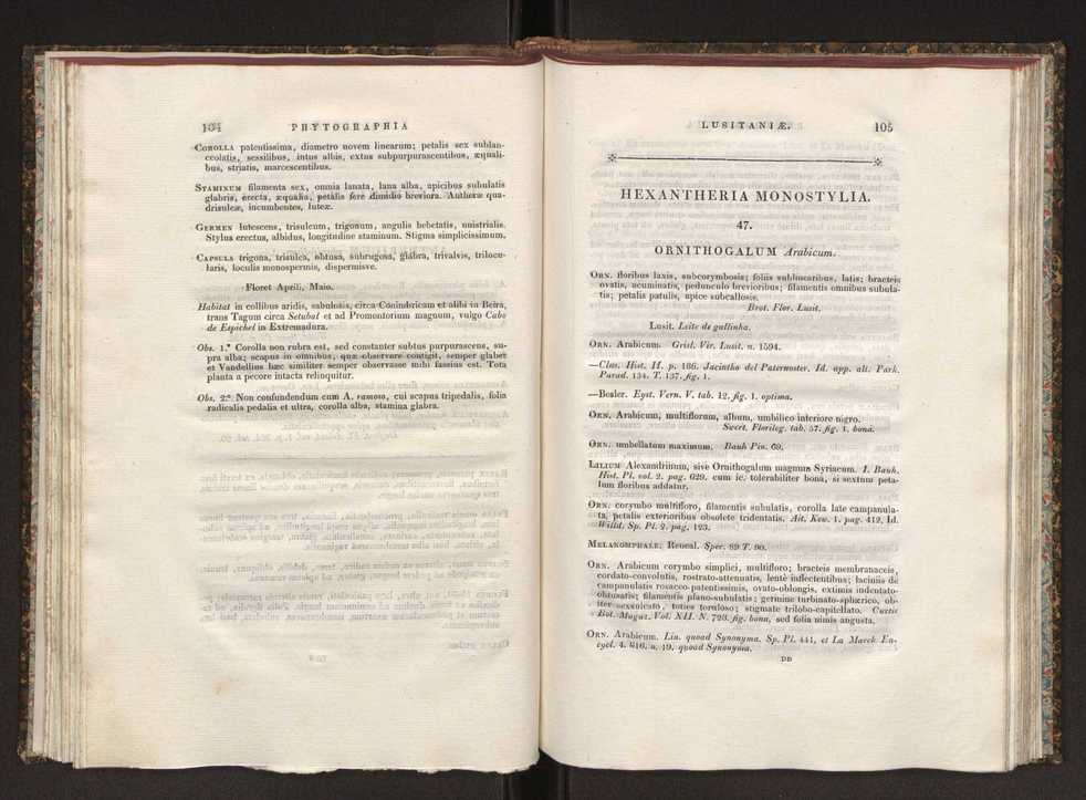 Phytographia lusitaniae selectior, seu novarum rariorum, et aliarum minus cognitarum stirpium, quae in Lusitania sponte' veniunt, ejusdemque floram spectant, descriptiones iconibus illustratae. Vol. 1 59