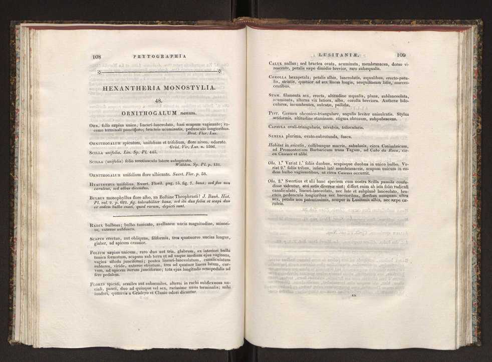 Phytographia lusitaniae selectior, seu novarum rariorum, et aliarum minus cognitarum stirpium, quae in Lusitania sponte' veniunt, ejusdemque floram spectant, descriptiones iconibus illustratae. Vol. 1 61