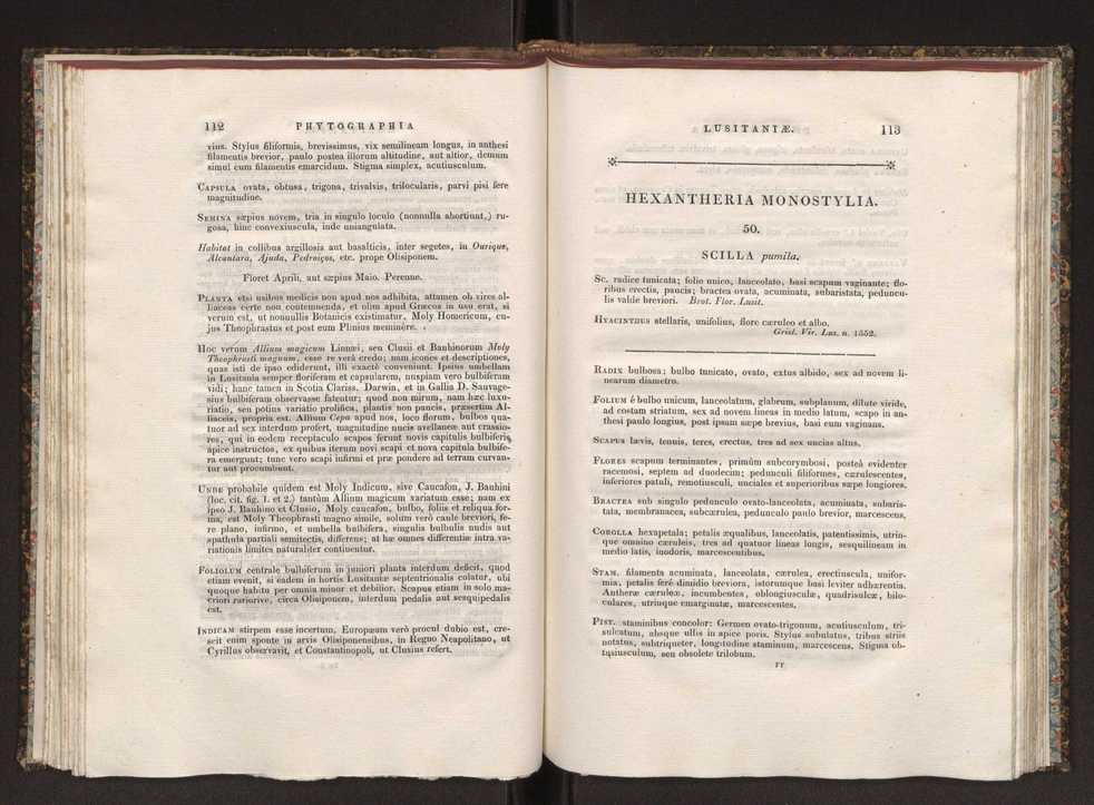 Phytographia lusitaniae selectior, seu novarum rariorum, et aliarum minus cognitarum stirpium, quae in Lusitania sponte' veniunt, ejusdemque floram spectant, descriptiones iconibus illustratae. Vol. 1 63