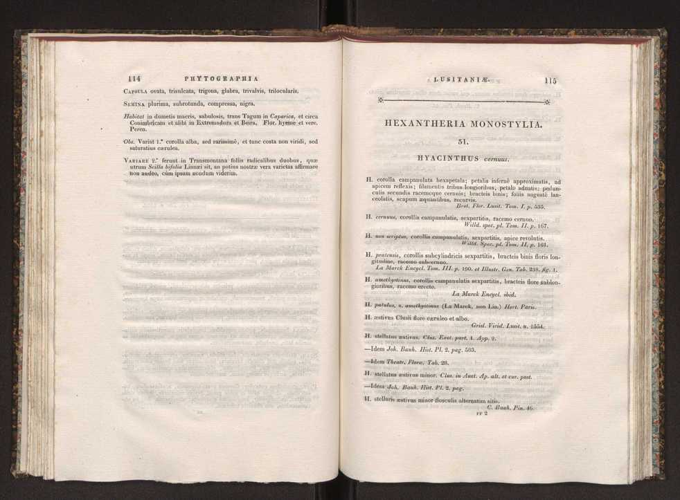 Phytographia lusitaniae selectior, seu novarum rariorum, et aliarum minus cognitarum stirpium, quae in Lusitania sponte' veniunt, ejusdemque floram spectant, descriptiones iconibus illustratae. Vol. 1 64