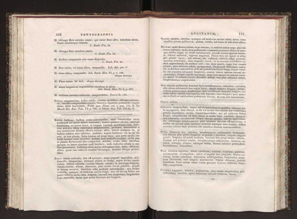 Phytographia lusitaniae selectior, seu novarum rariorum, et aliarum minus cognitarum stirpium, quae in Lusitania sponte' veniunt, ejusdemque floram spectant, descriptiones iconibus illustratae. Vol. 1 65