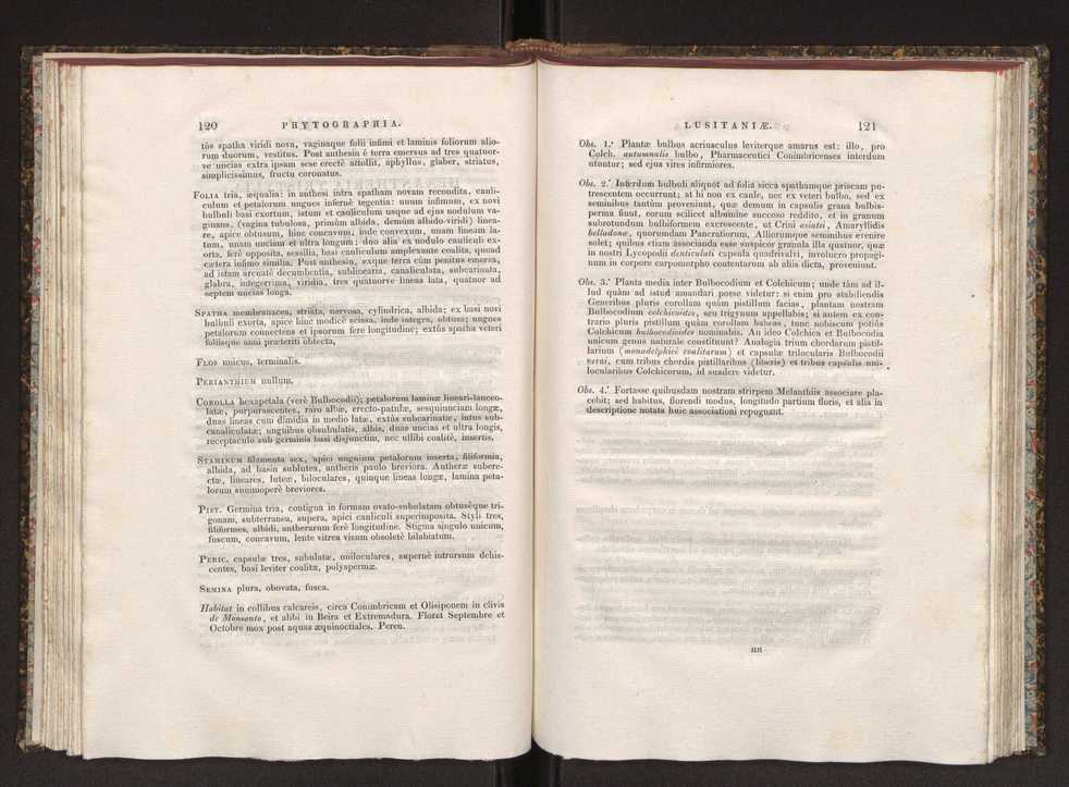 Phytographia lusitaniae selectior, seu novarum rariorum, et aliarum minus cognitarum stirpium, quae in Lusitania sponte' veniunt, ejusdemque floram spectant, descriptiones iconibus illustratae. Vol. 1 67