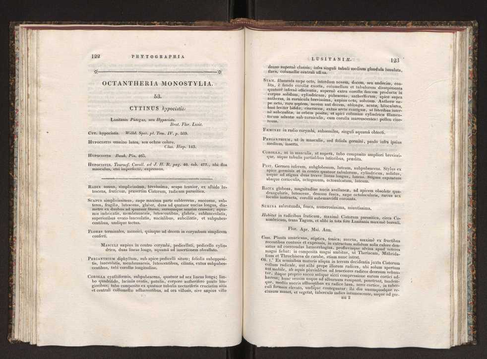 Phytographia lusitaniae selectior, seu novarum rariorum, et aliarum minus cognitarum stirpium, quae in Lusitania sponte' veniunt, ejusdemque floram spectant, descriptiones iconibus illustratae. Vol. 1 68