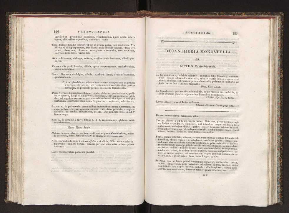 Phytographia lusitaniae selectior, seu novarum rariorum, et aliarum minus cognitarum stirpium, quae in Lusitania sponte' veniunt, ejusdemque floram spectant, descriptiones iconibus illustratae. Vol. 1 70