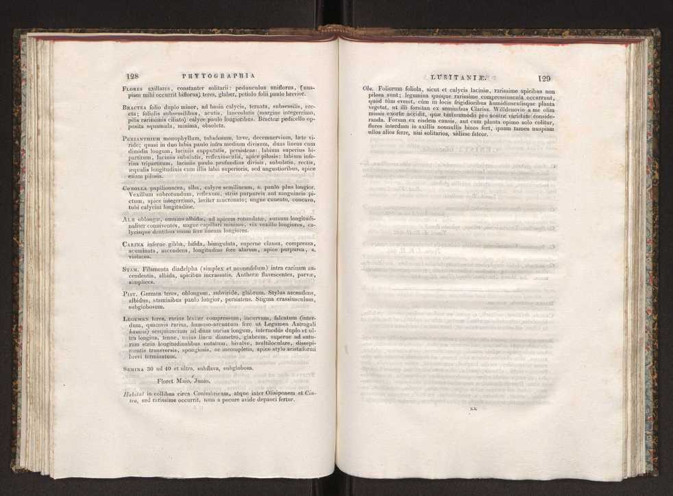 Phytographia lusitaniae selectior, seu novarum rariorum, et aliarum minus cognitarum stirpium, quae in Lusitania sponte' veniunt, ejusdemque floram spectant, descriptiones iconibus illustratae. Vol. 1 71