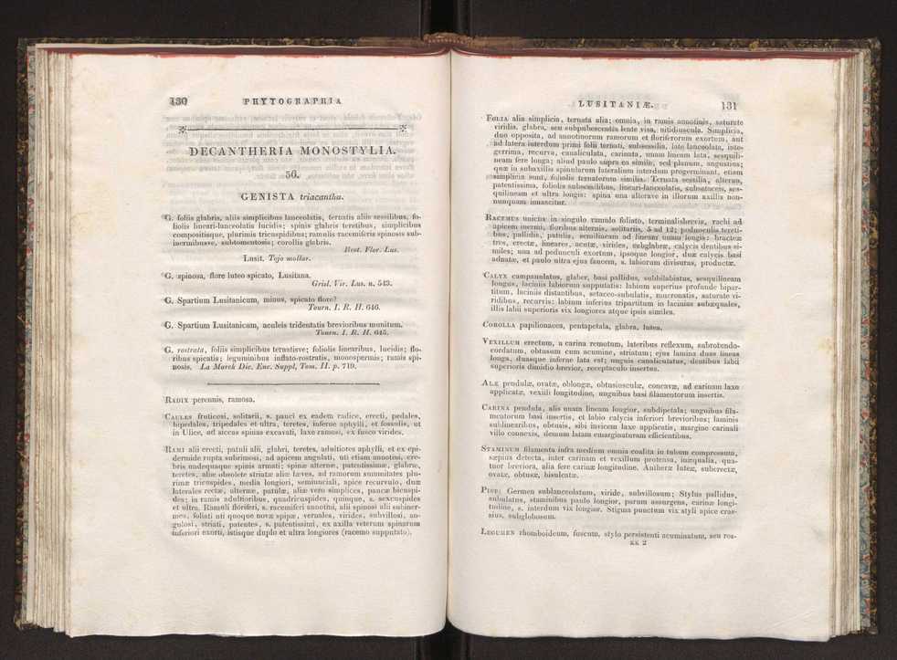 Phytographia lusitaniae selectior, seu novarum rariorum, et aliarum minus cognitarum stirpium, quae in Lusitania sponte' veniunt, ejusdemque floram spectant, descriptiones iconibus illustratae. Vol. 1 72
