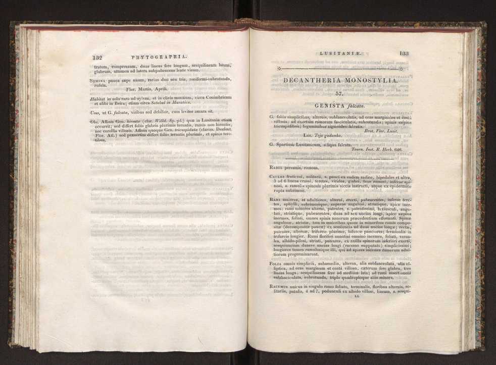 Phytographia lusitaniae selectior, seu novarum rariorum, et aliarum minus cognitarum stirpium, quae in Lusitania sponte' veniunt, ejusdemque floram spectant, descriptiones iconibus illustratae. Vol. 1 73