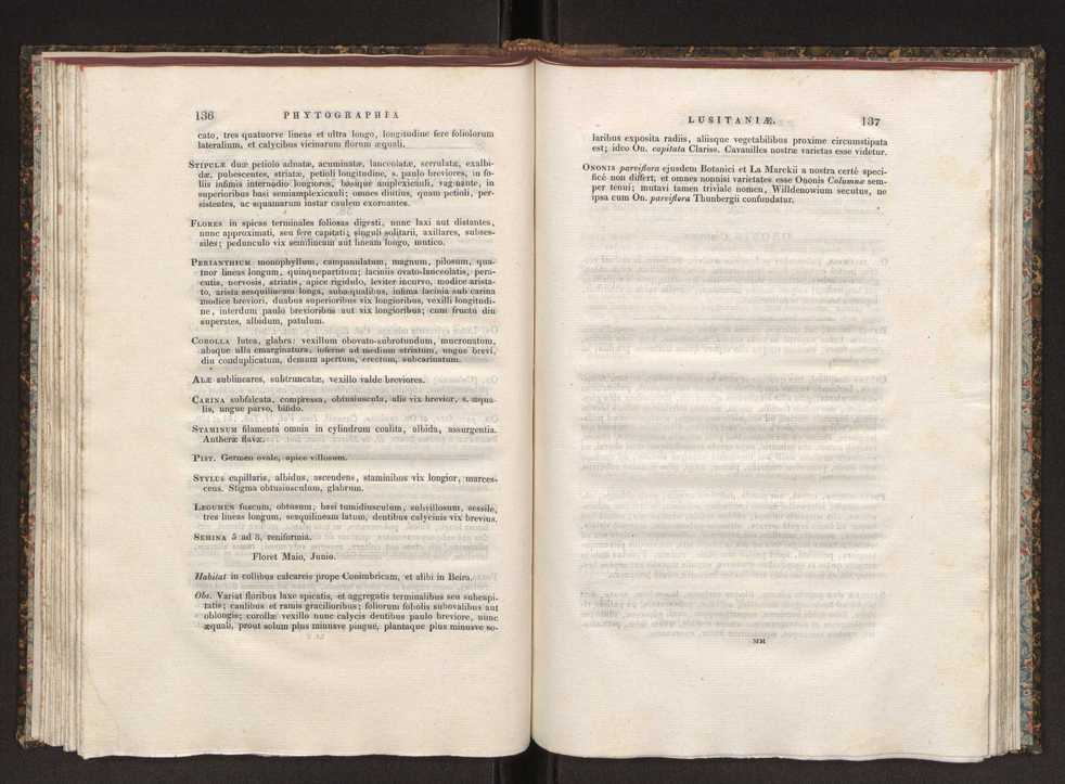 Phytographia lusitaniae selectior, seu novarum rariorum, et aliarum minus cognitarum stirpium, quae in Lusitania sponte' veniunt, ejusdemque floram spectant, descriptiones iconibus illustratae. Vol. 1 75