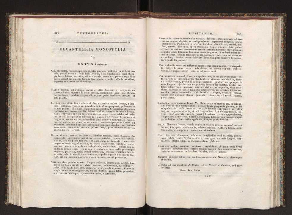 Phytographia lusitaniae selectior, seu novarum rariorum, et aliarum minus cognitarum stirpium, quae in Lusitania sponte' veniunt, ejusdemque floram spectant, descriptiones iconibus illustratae. Vol. 1 76