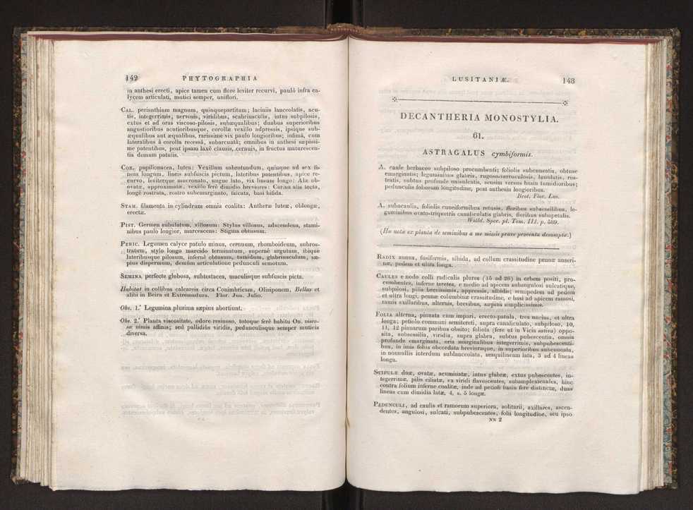 Phytographia lusitaniae selectior, seu novarum rariorum, et aliarum minus cognitarum stirpium, quae in Lusitania sponte' veniunt, ejusdemque floram spectant, descriptiones iconibus illustratae. Vol. 1 78