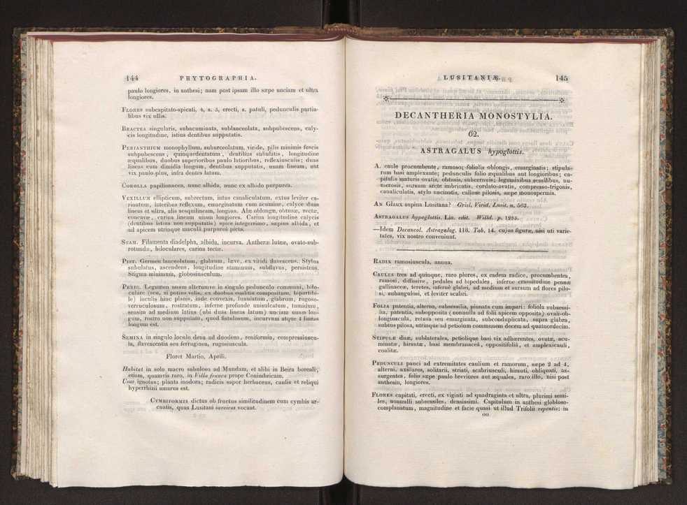 Phytographia lusitaniae selectior, seu novarum rariorum, et aliarum minus cognitarum stirpium, quae in Lusitania sponte' veniunt, ejusdemque floram spectant, descriptiones iconibus illustratae. Vol. 1 79