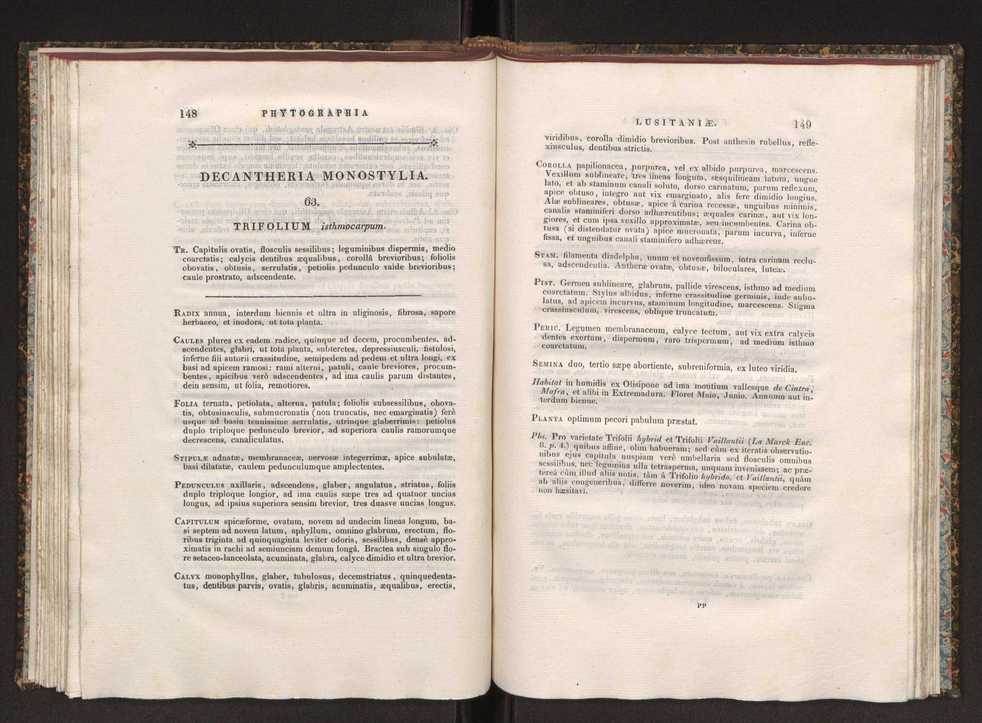 Phytographia lusitaniae selectior, seu novarum rariorum, et aliarum minus cognitarum stirpium, quae in Lusitania sponte' veniunt, ejusdemque floram spectant, descriptiones iconibus illustratae. Vol. 1 81