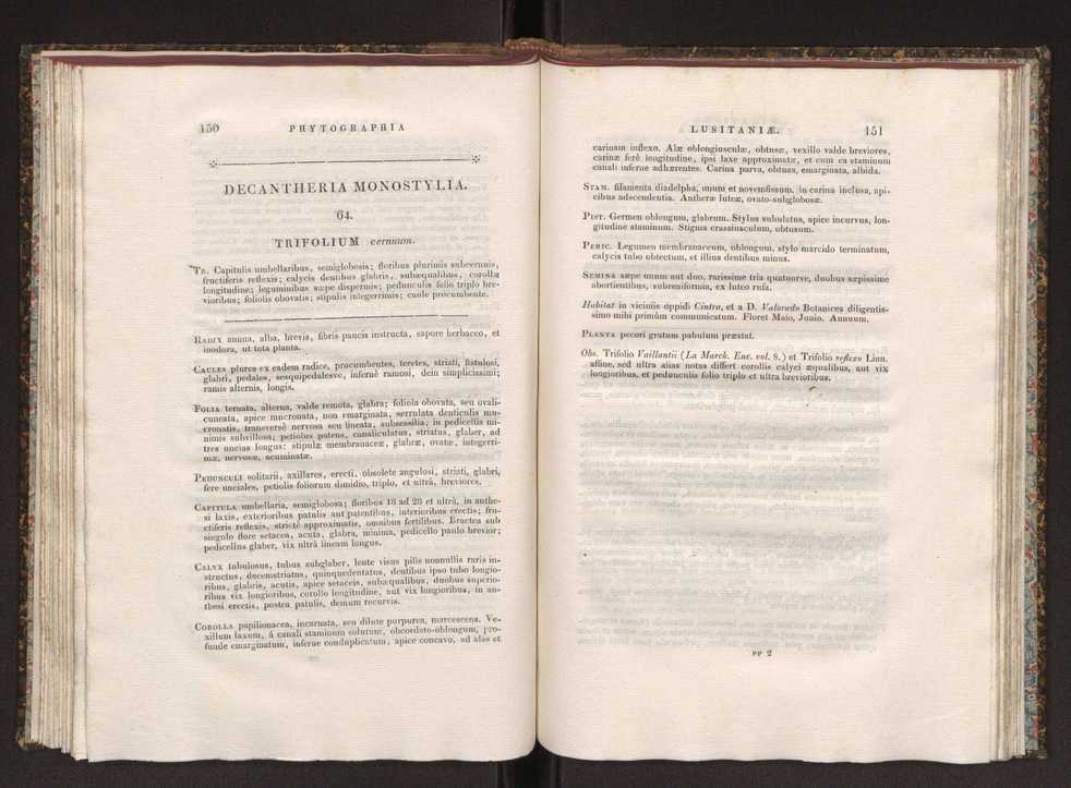 Phytographia lusitaniae selectior, seu novarum rariorum, et aliarum minus cognitarum stirpium, quae in Lusitania sponte' veniunt, ejusdemque floram spectant, descriptiones iconibus illustratae. Vol. 1 82