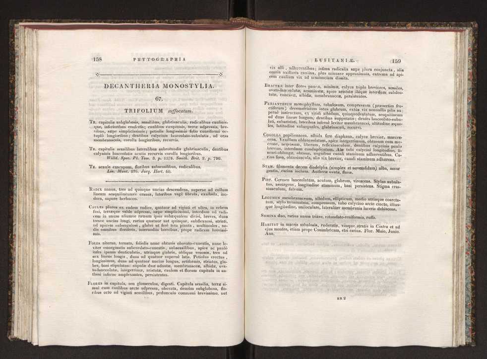 Phytographia lusitaniae selectior, seu novarum rariorum, et aliarum minus cognitarum stirpium, quae in Lusitania sponte' veniunt, ejusdemque floram spectant, descriptiones iconibus illustratae. Vol. 1 86