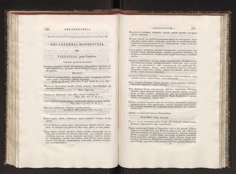 Phytographia lusitaniae selectior, seu novarum rariorum, et aliarum minus cognitarum stirpium, quae in Lusitania sponte' veniunt, ejusdemque floram spectant, descriptiones iconibus illustratae. Vol. 1 87