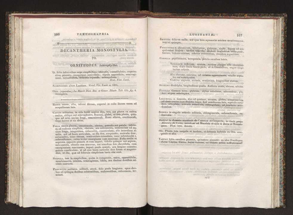 Phytographia lusitaniae selectior, seu novarum rariorum, et aliarum minus cognitarum stirpium, quae in Lusitania sponte' veniunt, ejusdemque floram spectant, descriptiones iconibus illustratae. Vol. 1 90