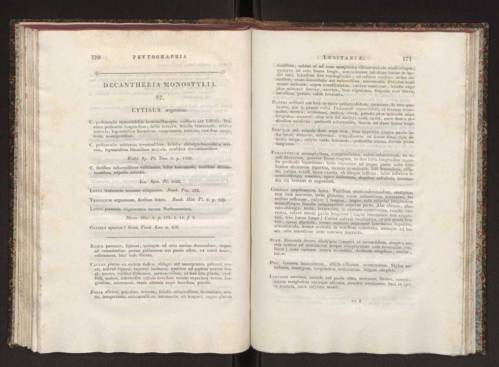 Phytographia lusitaniae selectior, seu novarum rariorum, et aliarum minus cognitarum stirpium, quae in Lusitania sponte' veniunt, ejusdemque floram spectant, descriptiones iconibus illustratae. Vol. 1 92