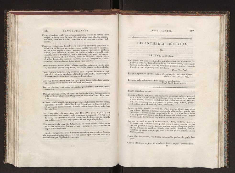 Phytographia lusitaniae selectior, seu novarum rariorum, et aliarum minus cognitarum stirpium, quae in Lusitania sponte' veniunt, ejusdemque floram spectant, descriptiones iconibus illustratae. Vol. 1 95