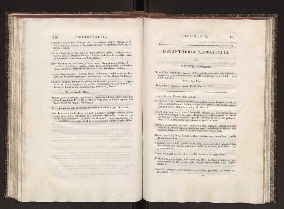 Phytographia lusitaniae selectior, seu novarum rariorum, et aliarum minus cognitarum stirpium, quae in Lusitania sponte' veniunt, ejusdemque floram spectant, descriptiones iconibus illustratae. Vol. 1 97