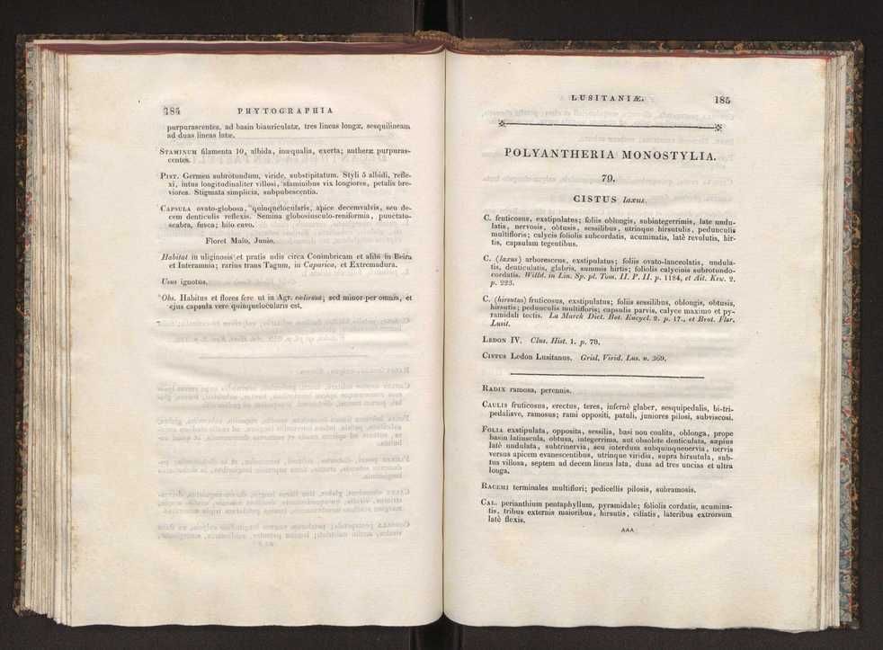 Phytographia lusitaniae selectior, seu novarum rariorum, et aliarum minus cognitarum stirpium, quae in Lusitania sponte' veniunt, ejusdemque floram spectant, descriptiones iconibus illustratae. Vol. 1 99