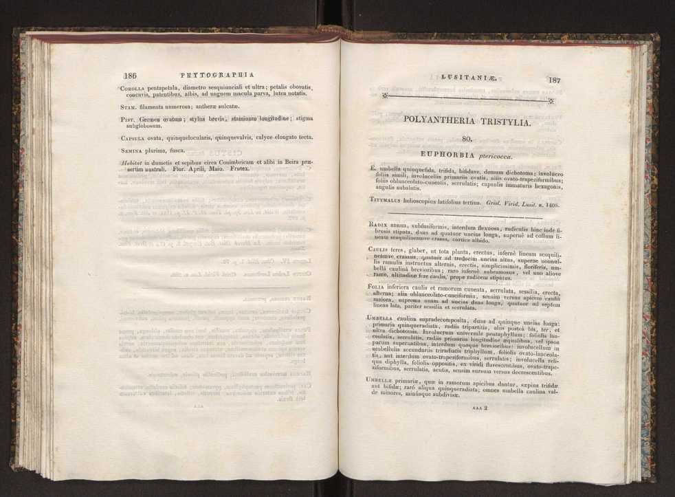 Phytographia lusitaniae selectior, seu novarum rariorum, et aliarum minus cognitarum stirpium, quae in Lusitania sponte' veniunt, ejusdemque floram spectant, descriptiones iconibus illustratae. Vol. 1 100