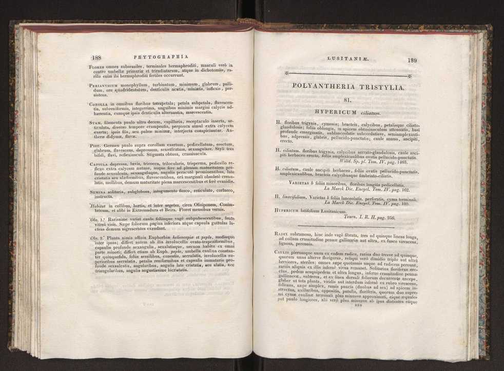 Phytographia lusitaniae selectior, seu novarum rariorum, et aliarum minus cognitarum stirpium, quae in Lusitania sponte' veniunt, ejusdemque floram spectant, descriptiones iconibus illustratae. Vol. 1 101