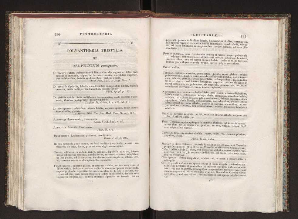 Phytographia lusitaniae selectior, seu novarum rariorum, et aliarum minus cognitarum stirpium, quae in Lusitania sponte' veniunt, ejusdemque floram spectant, descriptiones iconibus illustratae. Vol. 1 103