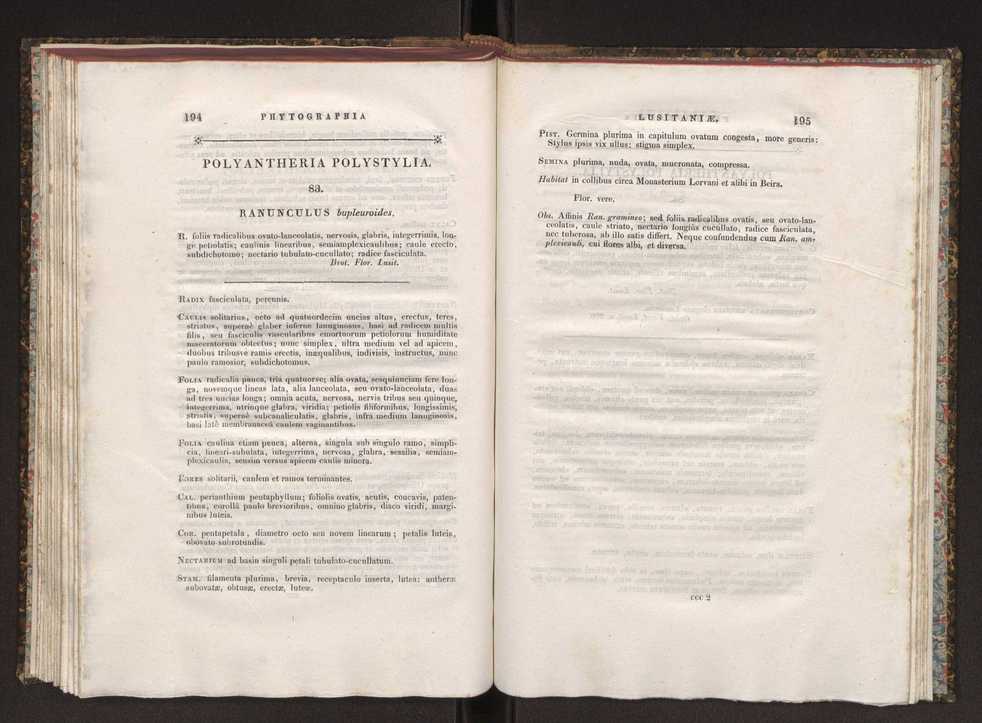 Phytographia lusitaniae selectior, seu novarum rariorum, et aliarum minus cognitarum stirpium, quae in Lusitania sponte' veniunt, ejusdemque floram spectant, descriptiones iconibus illustratae. Vol. 1 104