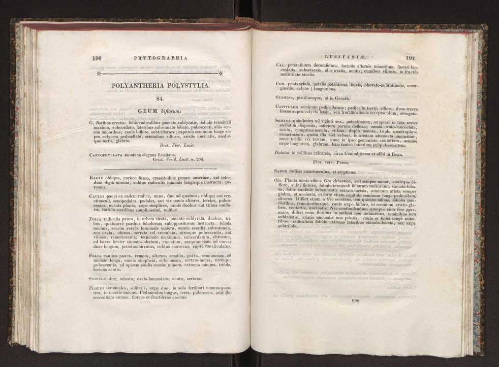 Phytographia lusitaniae selectior, seu novarum rariorum, et aliarum minus cognitarum stirpium, quae in Lusitania sponte' veniunt, ejusdemque floram spectant, descriptiones iconibus illustratae. Vol. 1 105